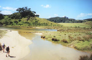 Image of whananaki02sandystreamq.jpg