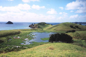 Image of whananaki02swampylakeq.jpg