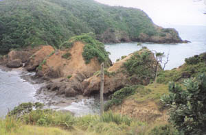 Image of whananaki02totheislandq.jpg
