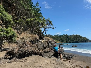 Image of whananakifeb26a.jpg