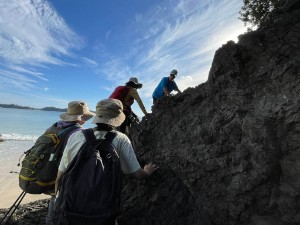 Image of whananakifeb26d.jpg