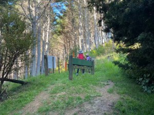 Image of whananakifeb26f.jpg