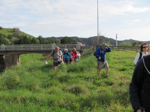 Image of whangamarino11bctrack.jpg