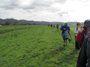 Image of whangamarino11bftrack.jpg