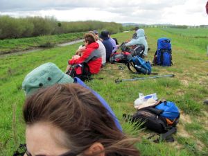 Image of whangamarino11caelevenses.jpg