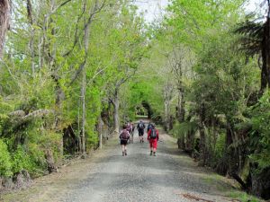 Image of whangamarino11ddpoggy.jpg