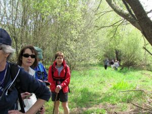 Image of whangamarino11eetrack.jpg