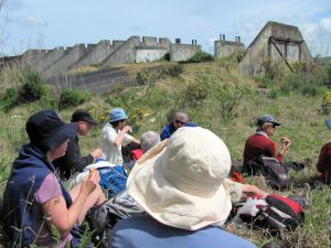 Image of whangamarino11fblinch.jpg