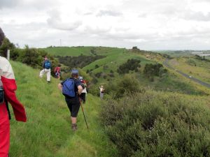 Image of whangamarino11gmtrack.jpg