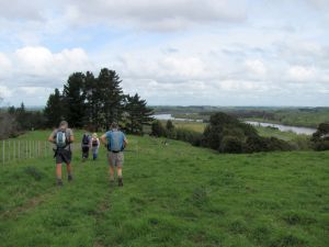 Image of whangamarino11ha redoubt.jpg