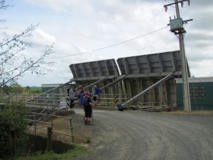 Image of whangamarino11ibfloodgates.jpg