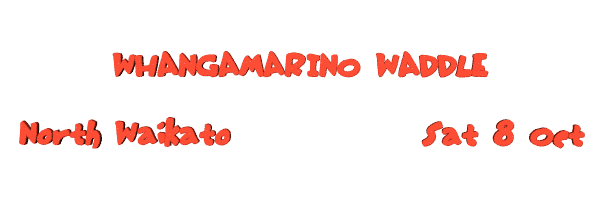 Image of whangamarinowaddle11.gif