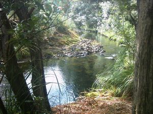 Image of whangamata04luckatlaststream.jpg