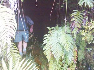 Image of whangamata04parakiwaimine.jpg