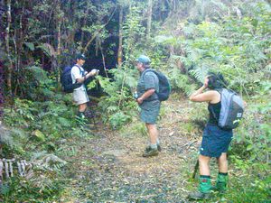 Image of whangamata04parakiwaitunnel.jpg