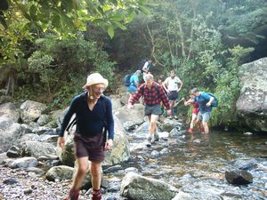 Image of whangamata04wentworthcrossingstream2.jpg