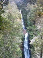 Image of whangamata04wentworthfalls.jpg