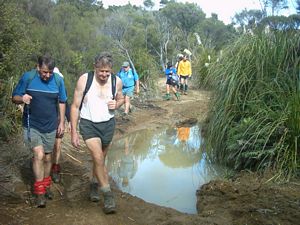 Image of whangamata04wentworthlooptrack.jpg