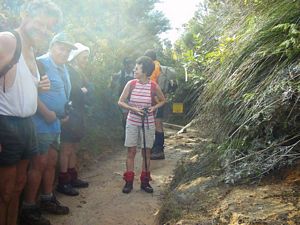 Image of whangamata04wentworthsummit.jpg