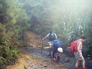 Image of whangamata04wentworthtairuariver.jpg