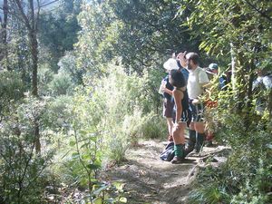 Image of whangamata04wentworthwirestrack.jpg