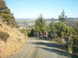 Image of whangareiabtc04satgoingdownquarrytrack.jpg