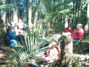 Image of whangareiabtc04satlunch.jpg