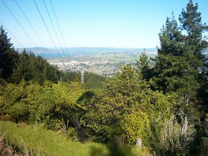 Image of whangareiabtc04satpylonview1.jpg