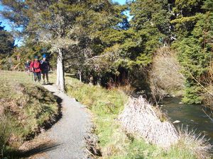 Image of whangareiabtc04sunfallswalkway2.jpg