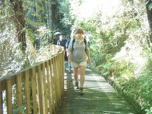 Image of whangareiabtc04sunhateawalk.jpg