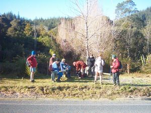 Image of whangareiabtc04sunroadsiderest.jpg
