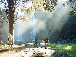 Image of whangareiabtc04sunwhangareifalls2.jpg