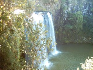Image of whangareiabtc04sunwhangareifalls3.jpg