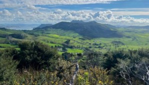 Image of whangareijun26c.jpg