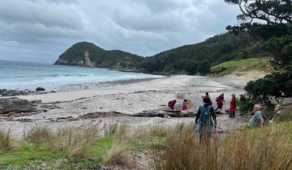 Image of whangareijun26f.jpg