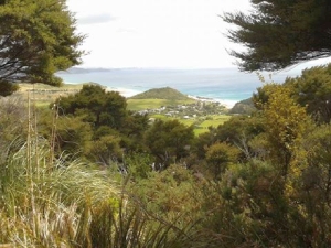 Image of whangareinov15a.jpg