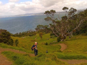 Image of whangareinov15d.jpg