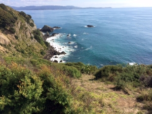 Image of whangateaujun18a.jpg