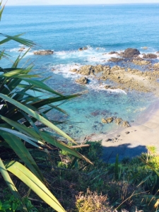 Image of whangateaujun18b.jpg