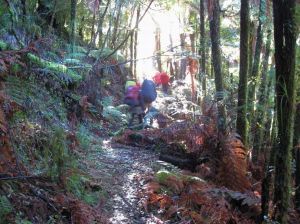 Image of whareorino101.jpg