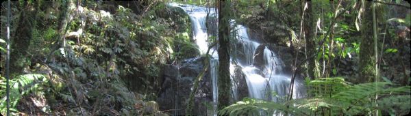 Image of whareorino102.jpg