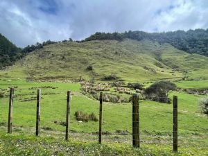 Image of whareorinosep22a.jpg