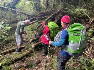 Image of whareorinosep22c.jpg