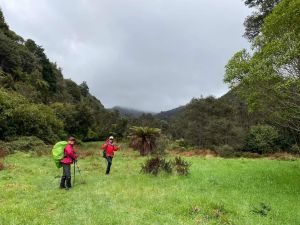 Image of whareorinosep22m.jpg