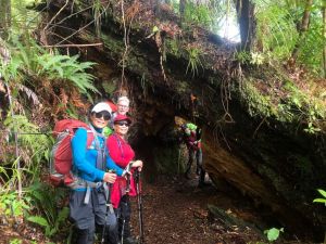 Image of whareorinosep22o.jpg