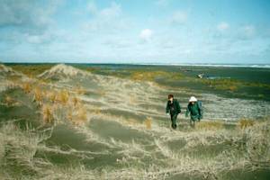 Image of whatipu02crossingdunes.jpg