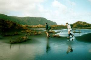 Image of whatipu02dunepond.jpg