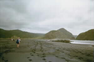 Image of whatipubeachq.jpg