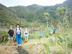 Image of whatipufeb05beforesanddune.jpg