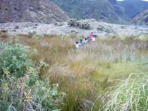 Image of whatipufeb05crossingswamp.jpg